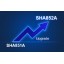 SIGLENT SHA850-F2  Software Upgrade da SHA851A a SHA852A